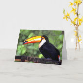 「とうかん」 カード (黄色い花)