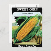 とうもろこしの栽培 ポストカード (正面/裏面)