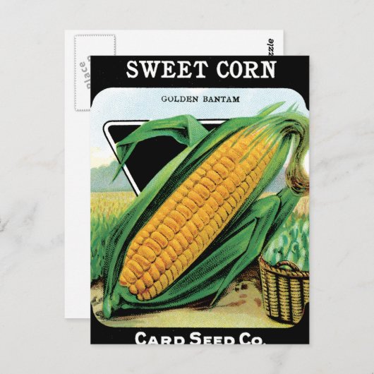 とうもろこしの栽培 ポストカード (正面/裏面)