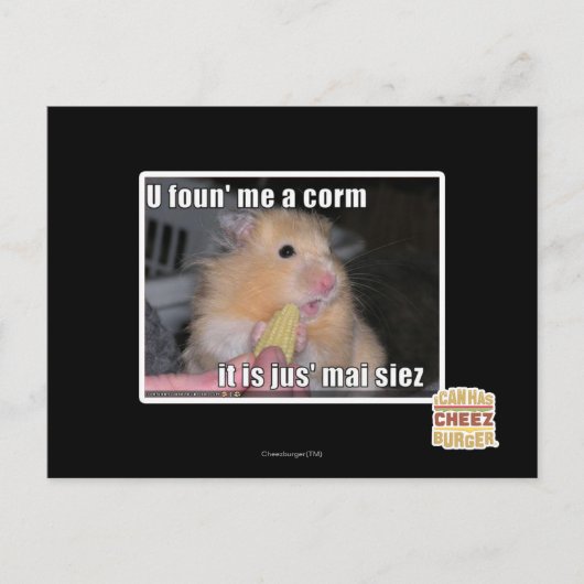 とうもろこしを見つけた ポストカード (正面)