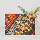 とうもろこし品種のご案内 招待状 (スタンド正面)