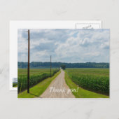 とうもろこし畑の間で ポストカード (正面/裏面)