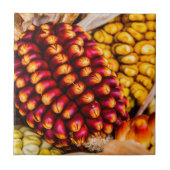 とうもろこし タイル (正面)