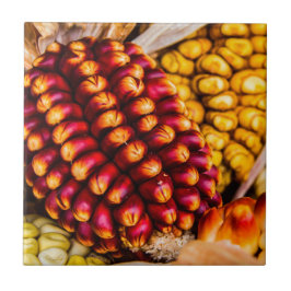 とうもろこし タイル