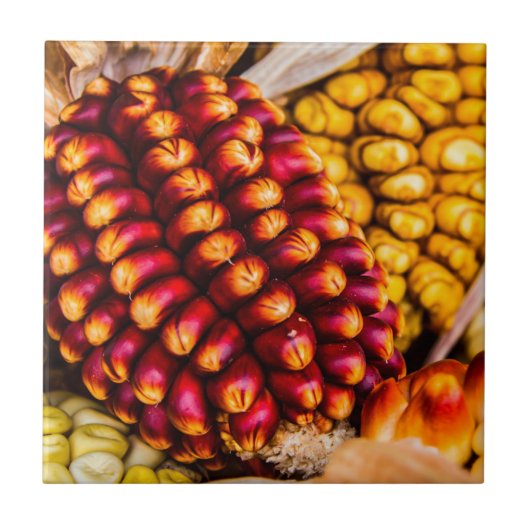 とうもろこし タイル (正面)