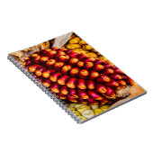 とうもろこし ノートブック (右側)