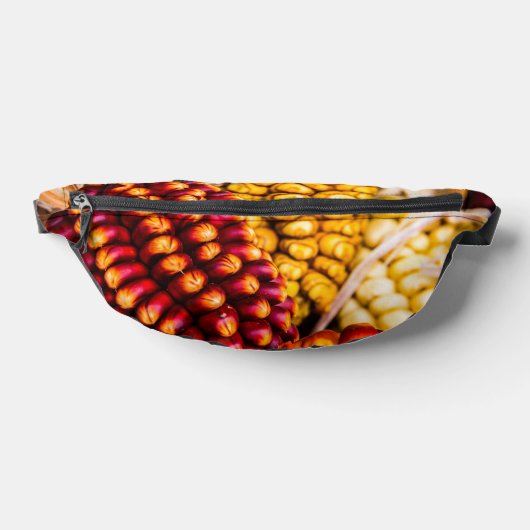 とうもろこし ファニーパック (レイダウン)