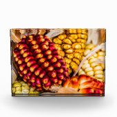 とうもろこし フォトブロック (正面)