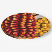 とうもろこし ペーパープレート (アングル)