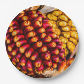 とうもろこし ペーパープレート (正面)