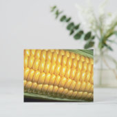 とうもろこし ポストカード (スタンド正面)