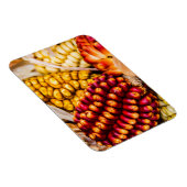 とうもろこし マグネット (右側)