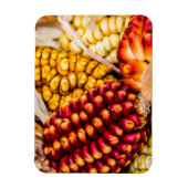 とうもろこし マグネット (縦)