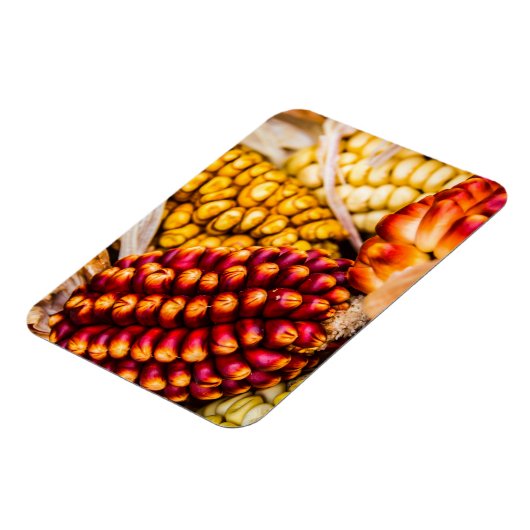 とうもろこし マグネット (左側)