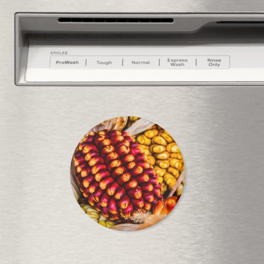 とうもろこし マグネット (インサイチュ (食洗機))