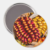とうもろこし マグネット (正面/裏面)
