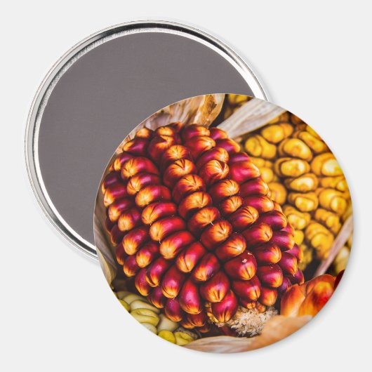 とうもろこし マグネット (正面/裏面)