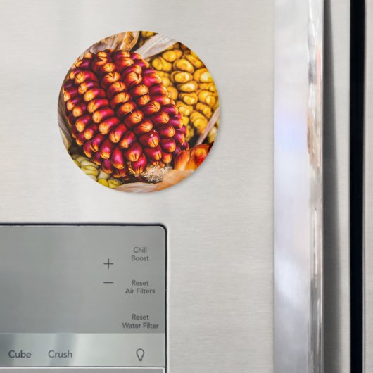 とうもろこし マグネット (インサイチュ (冷蔵庫))