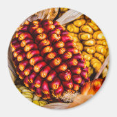 とうもろこし マグネット (正面)