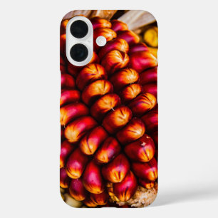 とうもろこし iPhone 16ケース