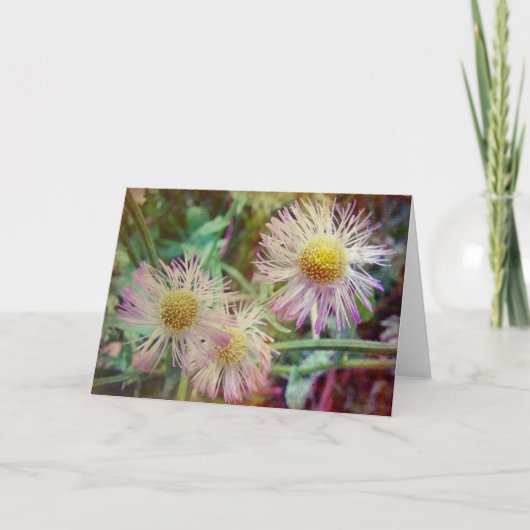 とかわいらしピンク カード (正面)