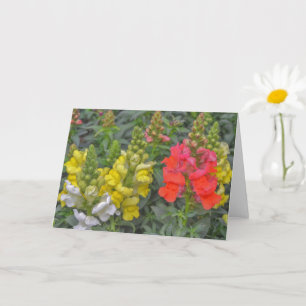 とかわいらしSnapdragon Flower Art カード