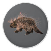 とげだらけのポルキー セラミックノブ (正面)