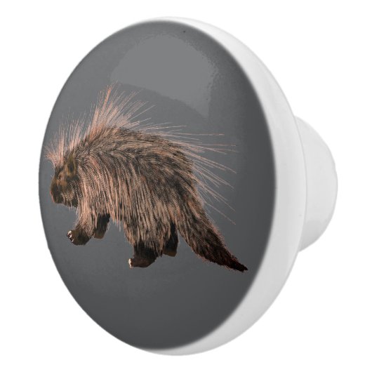 とげだらけのポルキー セラミックノブ (右)