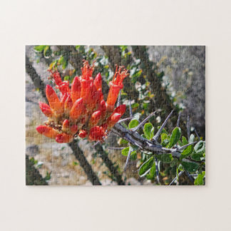 とげと炎の花のジグソーパズル、11" x 14"、252ピース ジグソーパズル