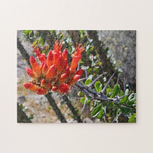 とげと炎の花のジグソーパズル、11" x 14"、252ピース ジグソーパズル (横)