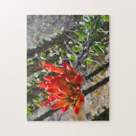 とげと炎の花のジグソーパズル、11" x 14"、252ピース ジグソーパズル