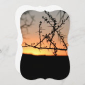 とげのあるアカシアの木のシルエットを持つアフリカの夕日 (正面/裏面)