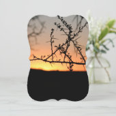 とげのあるアカシアの木のシルエットを持つアフリカの夕日 (スタンド正面)