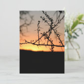 とげのあるアカシアの木のシルエットを持つアフリカの夕日 サンキューカード (スタンド正面)