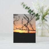 とげのあるアカシアの木のシルエットを持つアフリカの夕日 シーズンカード (スタンド正面)