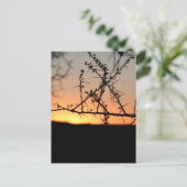 とげのあるアカシアの木のシルエットを持つアフリカの夕日 シーズンポストカード (スタンド正面)