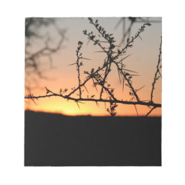 とげのあるアカシアの木のシルエットを持つアフリカの夕日 ノートパッド