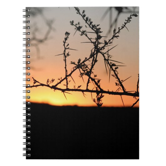 とげのあるアカシアの木のシルエットを持つアフリカの夕日 ノートブック (正面)