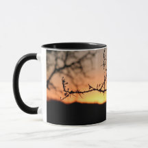 とげのあるアカシアの木のシルエットを持つアフリカの夕日