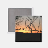 とげのあるアカシアの木のシルエットを持つアフリカの夕日 マグネット (正面/裏面)
