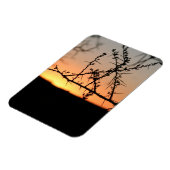 とげのあるアカシアの木のシルエットを持つアフリカの夕日 マグネット (左側)