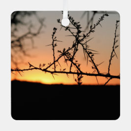 とげのあるアカシアの木のシルエットを持つアフリカの夕日 メタルオーナメント