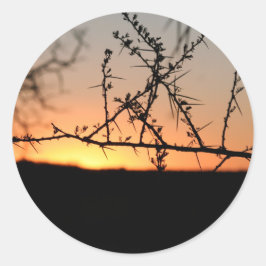 とげのあるアカシアの木のシルエットを持つアフリカの夕日 ラウンドシール