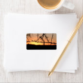 とげのあるアカシアの木のシルエットを持つアフリカの夕日 ラベル (インサイチュ)