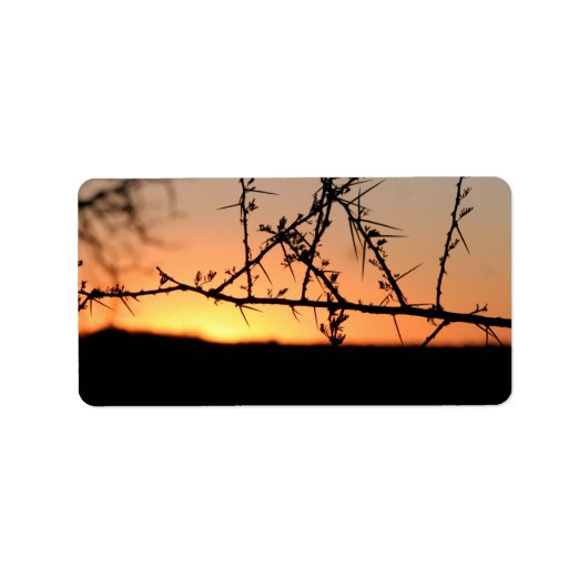 とげのあるアカシアの木のシルエットを持つアフリカの夕日 ラベル (正面)