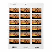 とげのあるアカシアの木のシルエットを持つアフリカの夕日 ラベル (フルシート)