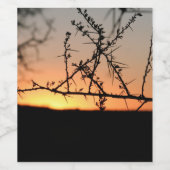 とげのあるアカシアの木のシルエットを持つアフリカの夕日 ワインラベル (シングルラベル)