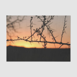 とげのあるアカシアの木のシルエットを持つアフリカの夕日 薄葉紙