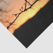 とげのあるアカシアの木のシルエットを持つアフリカの夕日 薄葉紙 (詳細)