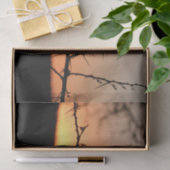 とげのあるアカシアの木のシルエットを持つアフリカの夕日 薄葉紙 (ギフト)